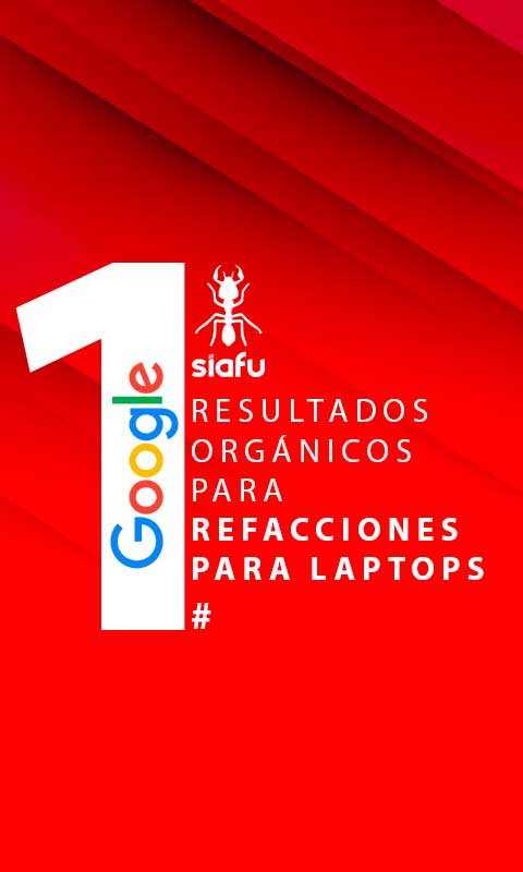 1-en-resultaddos-orgánico_2